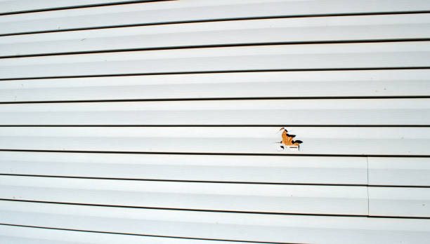 Best Siding Removal and Disposal  in Auburn, ME