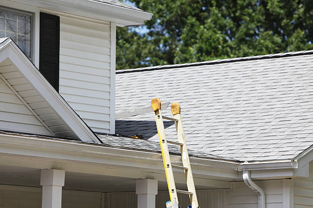 Best Siding for New Construction  in Auburn, ME